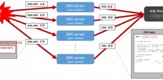 안랩이 조사발표한 DNS 증폭 디도스 공격 개념도 (사진제공: 안랩)