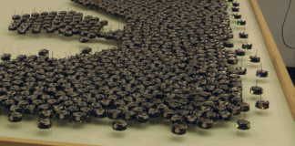 하버드대, 개미처럼 집단 행동 ‘꼬마 로봇’ 개발