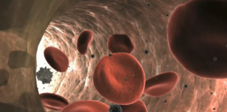 실제보다 더 나은 인공 적혈구 개발…”산소·항암제도 운반 가능”