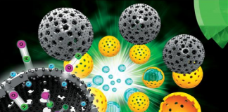 5만 번 충·방전 반영구 고용량 충전지 개발