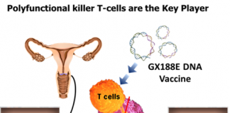 자궁경부전암 완치 유전자 치료 백신 개발