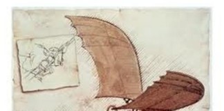 새의 구조와 기능 카피한 비행기