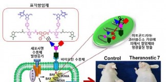 암세포 공격 유도 합성기술 개발
