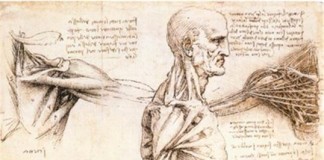 사람과 생물을 카피하는 로봇