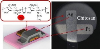 게 껍질 키토산으로 메모리 소자 만든다