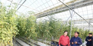 농식품부, ICT 융합 농업 확산한다