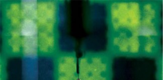 실종자 수색에 투입할 파리 로봇 개발