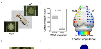 초미세 뇌파 측정 가능한 신소재 개발