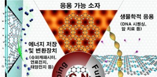 그래핀 능가 ‘2차원 구조체’ 세계 최초 개발