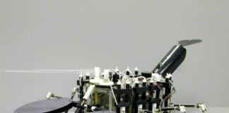 바다가재 로봇 & 하늘을 나는 벌 로봇