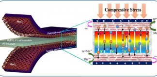 스스로 발전과 동시 저장하는 축전지 개발