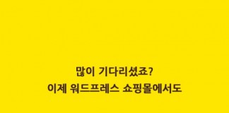 코드엠, 워드프레스 카카오페이 결제 플러그인 출시