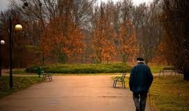 외로우면 면역유전자 손상으로 일찍 사망한다