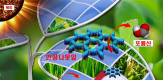 ‘플라스틱 나뭇잎’으로 태양광 화학공장 만든다