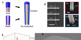 생체 내부 빛과 전류 선택 검출 ‘나노선 센서’ 개발