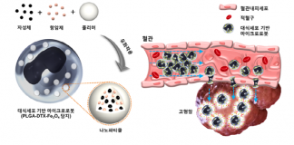암 치료, 면역세포로 만든 마이크로 로봇으로 한다