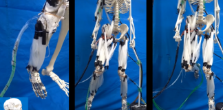 일본에서 개발한 ‘인공 근육 로봇’의 놀라운 움직임