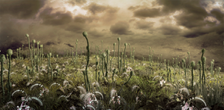 외계 생명창조 프로젝트, 우리는 외계에 생명 씨앗을 뿌려야 하나?