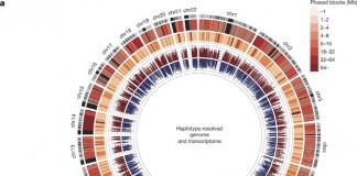 국내 연구진, 세계서 가장 정밀한 한국인 인간게놈 지도 완성
