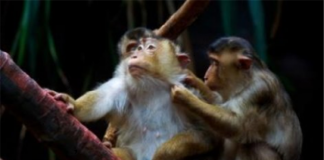 스트레스가 얼마나 무서운 것인지, 만병의 근원임을 처음으로 밝혀