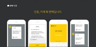 카카오페이인증서, 공인인증서와 아이핀 대체?