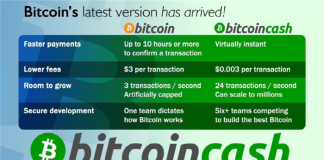 비트코인·비트코인캐시 vs 블록체인