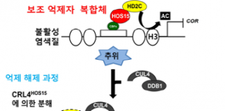 식물이 추위를 견디는 과정 밝혔다