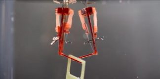 생체근육 탑재 ‘바이오 하이브리드 로봇’ 개발