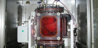 배양한 ‘바이오공학 폐’ 생체이식 실험 성공