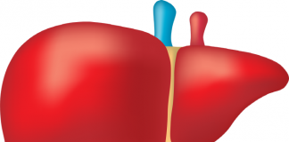 한약을 오래 먹으면 간이 나빠진다?