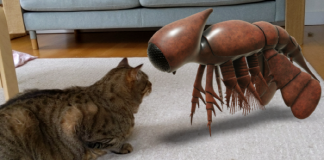 구글, AR로 고대생물과 아폴로11호 거실로 불러와