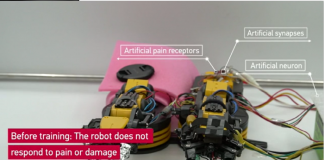 로봇이 통증을 느끼고 스스로 치료하는 ‘미니 뇌’ 개발