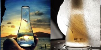 인스타그램, 광고 출시 5개월 만에 20만 광고주 돌파