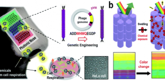 부산대, 거의 완벽한 인공 코(광학 코) 개발