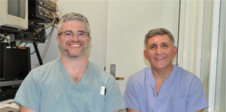 뉴런들 서로 협력해 단기기억 저장하고 검색