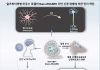 단 2회 주사로 손상된 뇌 되살렸다… 알츠하이머 ‘역전’의 길 연 Nano-ERASER